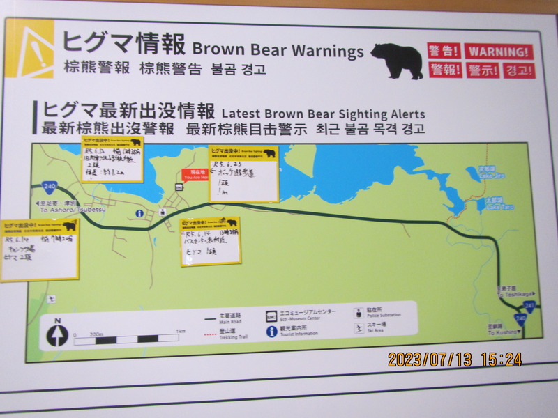 ヒグマ情報