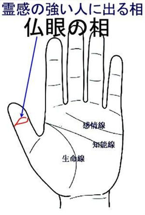 500円で手相を見てもらったよ 指にある 仏の眼 仏眼 が気になったから 徒然悠々 内向的でもだいじょうぶろぐ