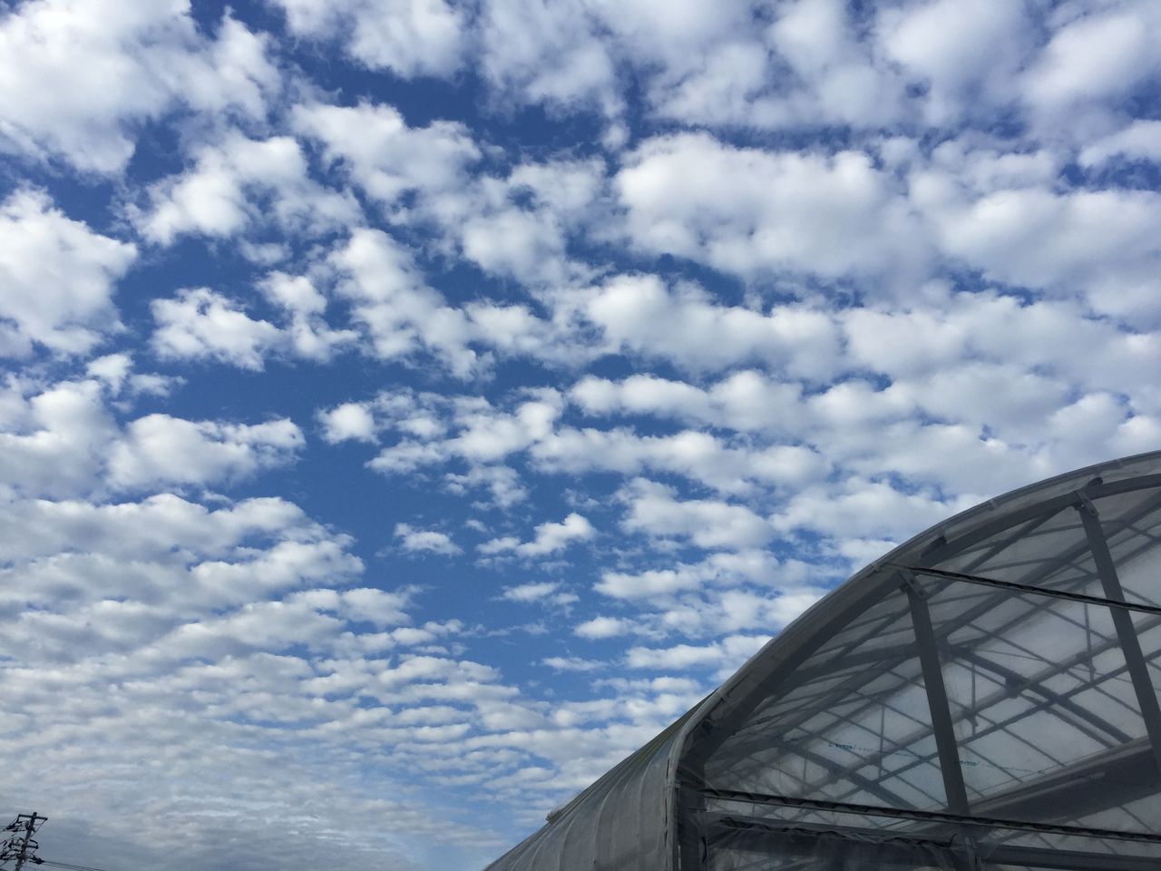 さんま雲が綺麗です 高知家発 とまっくま トマト作り生活 さんま雲が綺麗です 高知家発 とまっくま トマト作り生活