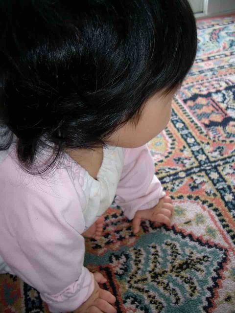 最近の写真保存は