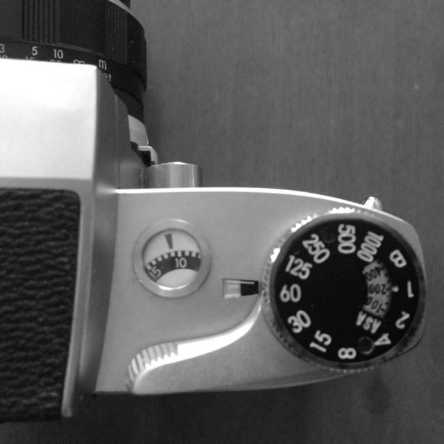 ミランダ センソレックス : 無題の写真 ミランダ センソレックス : 無題の写真