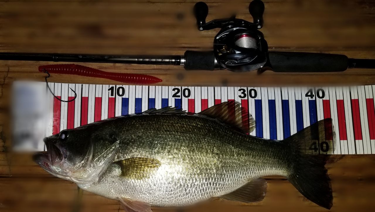 デプス リバウンドスティック 琵琶湖夜釣り釣行 Mのバス釣り日記 デプス リバウンドスティック 琵琶湖夜釣り釣行 Mのバス釣り日記