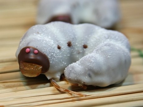 カブトムシの 幼虫チョコ 連日1時間で完売 僕的dqn Dailyquicknews ドキュ速 だった