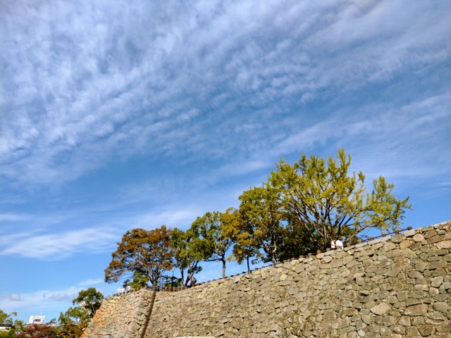 IMG_20221030_094822697~2