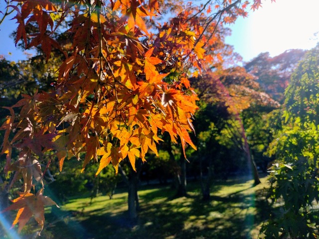 IMG_20221030_090717167~2