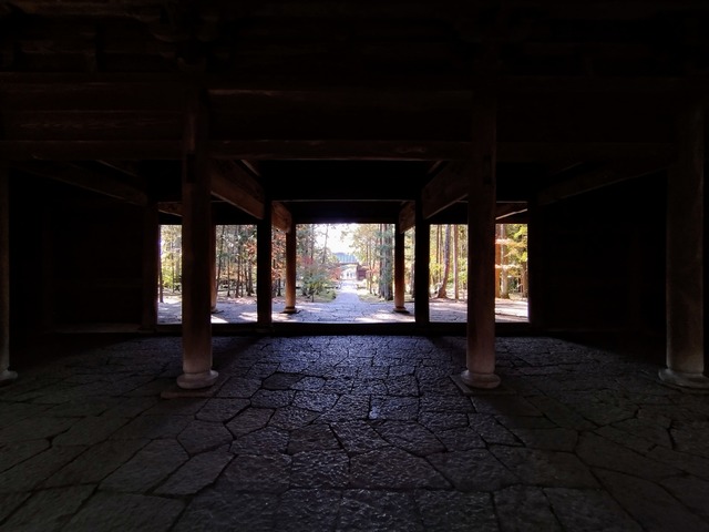 IMG_20221108_094757291~2