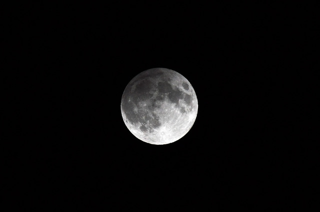 DSC_2248_dev