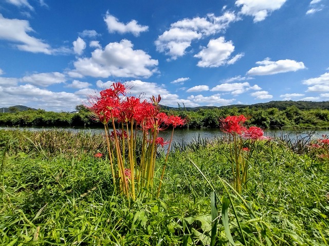 IMG_20210921_104538190_HDR~2