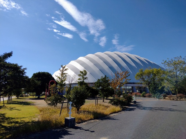 IMG_20221024_094945407~2