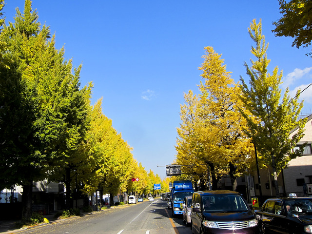 IMG_7522_dev