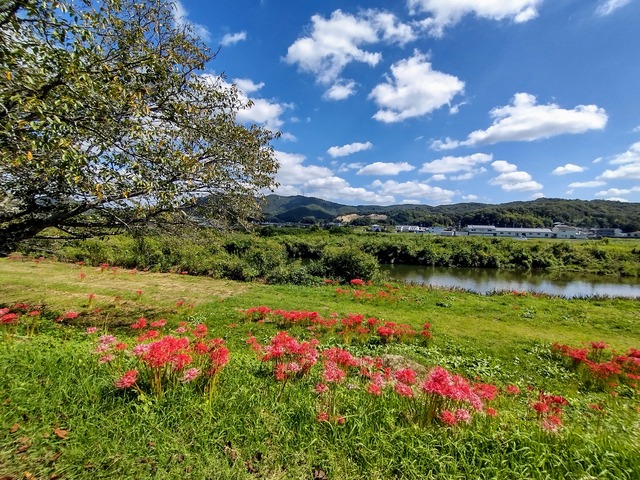 IMG_20210921_104712078_HDR~2