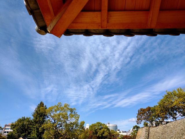 IMG_20221030_094705281~2