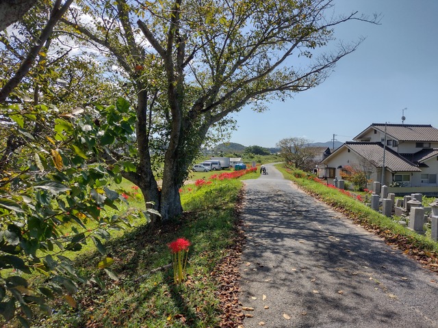 IMG_20210921_104833836_HDR