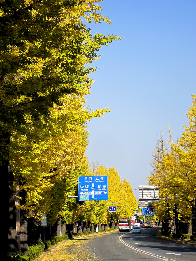 IMG_7544_dev
