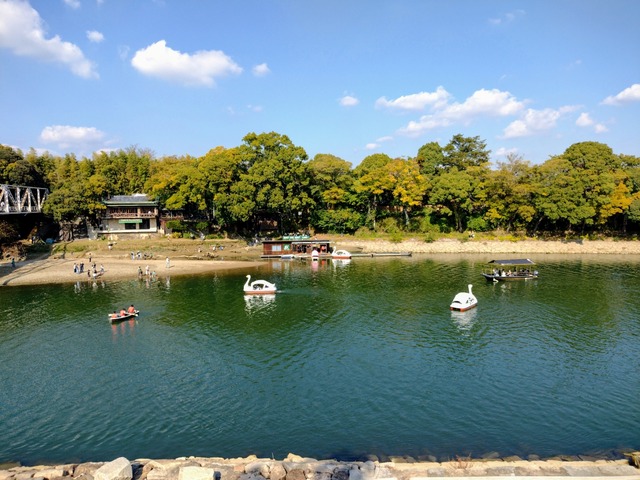 IMG_20221103_125946427~2