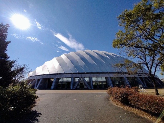 IMG_20221024_095036786~2