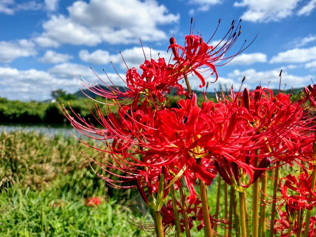 IMG_20210921_104559851_HDR~2