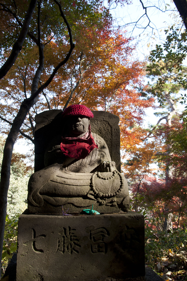 DSC_2498dev