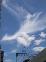 100717_1208~01
