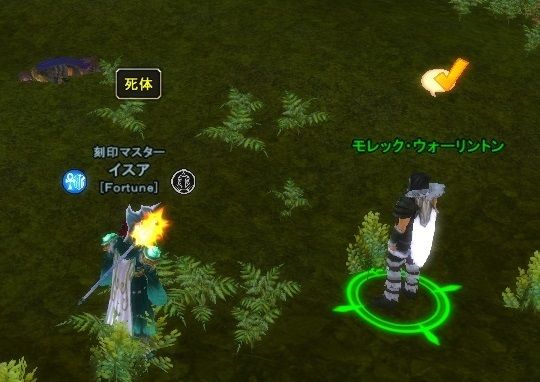 Story Sジャノスフォレスト プロット 竜の使者クエスト Mysticstone セージアイズの落ちこぼれ研究員見習いが残した研究文書 主に観光