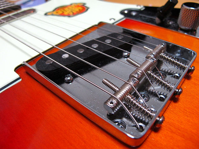 Richie Kotzen テレキャスDimarzio PU