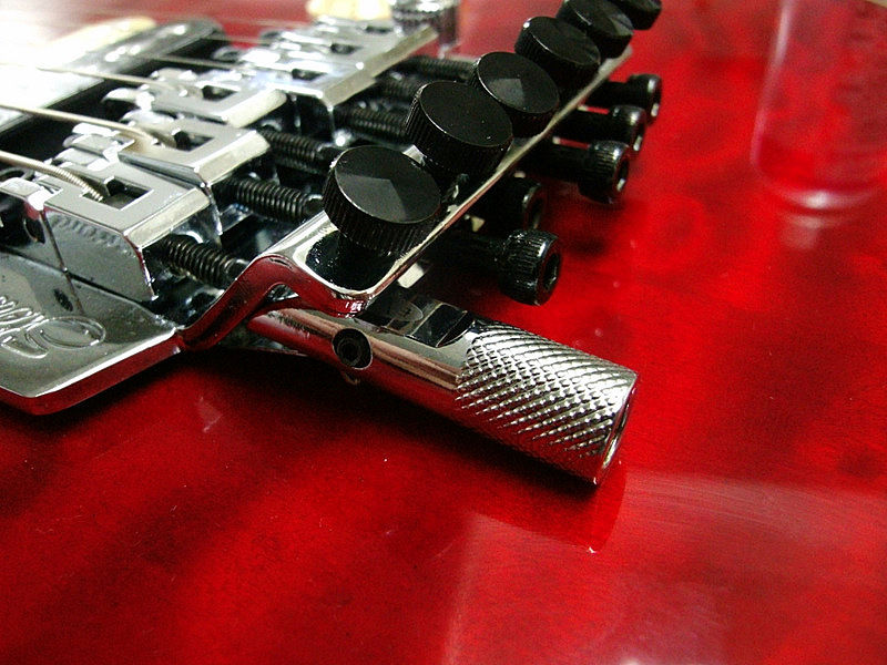 EVH D-Tuna （1発め） : My Things