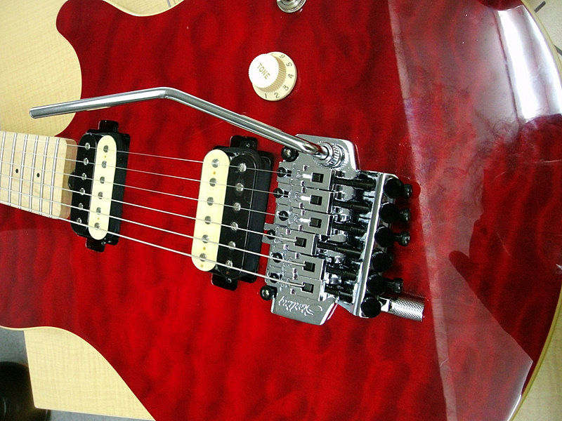 EVH D-Tuna （1発め） : My Things エドワーズ製エレキギター E-CY