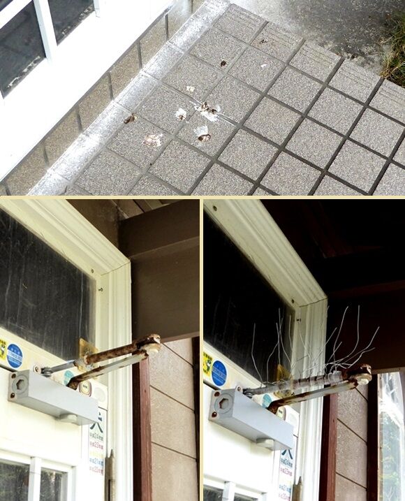 玄関外側の鳥の糞害対策 ドアクローザーにスパイクもどき 屋久島生活の飛光船