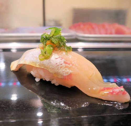 青魚パラダイス 寿司大 豊洲市場 自己ベスト更新中