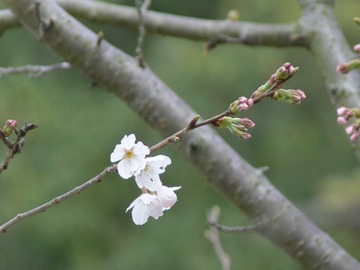 62ef58f1af462655ac0530b6195f23a9_s