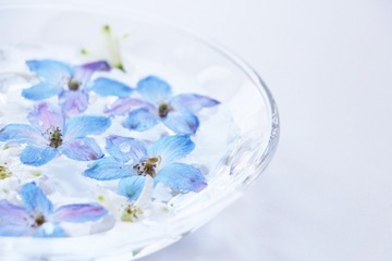 10f662864a42f31067ca575392fba2f5_s