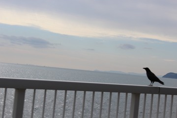 e859188c41d9257377517f88aa260d03_s