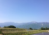 IMG_3953