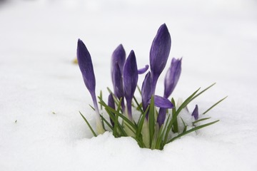 8049eccfd5288d6141ea52781a844f27_s