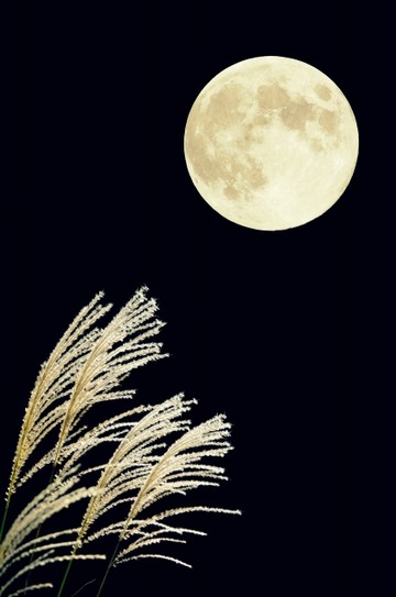 60e5b546afe0af107057c6baece699f2_s