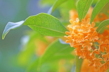 9017adb2e5f286a1c210dd87c93e4122_s