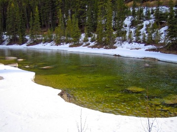 61f465882a747a3d7b65126752cd8a9e_s