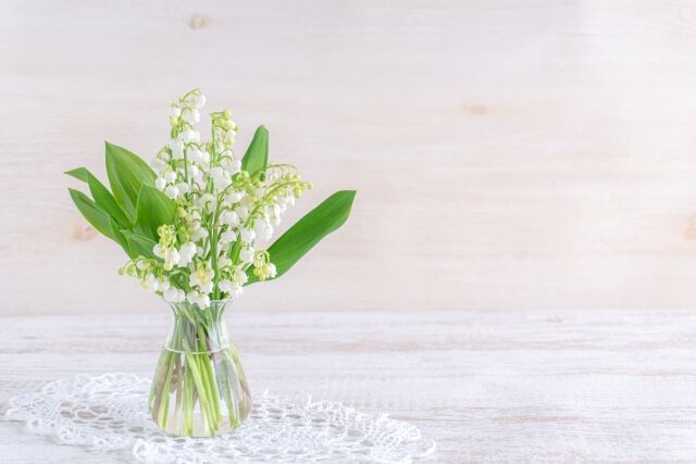 牡牛座の新月 美しいと思う心が美しい 幸せ さがそ 幸せ さかそ Myuのhappy Diary 牡牛座の新月 美しいと思う心が美しい 幸せ さがそ 幸せ さかそ Myuのhappy Diary