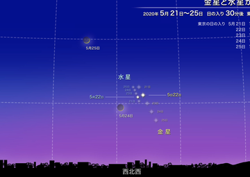スクリーンショット 2020-04-28 14.42.52