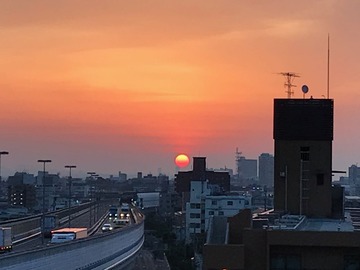 IMG_7252