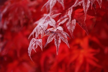 afb6dad54f6f585b08543c0471f5d38a_s