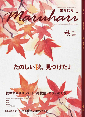 スクリーンショット 2022-10-27 12.57.16