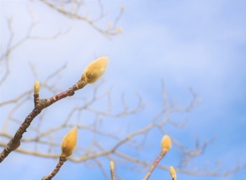 7bf7bd0cc91895cf7d5ef2ad246d9ebc_s