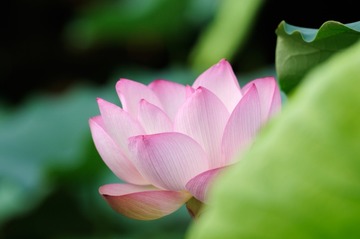 3d5c98432534cd3c572c370a4625a265_s