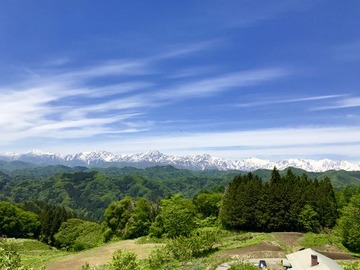 IMG_6350
