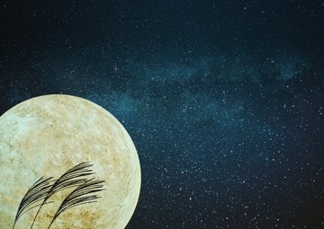 50f5ca52c06b31d57f64456cbbc87dc5_s