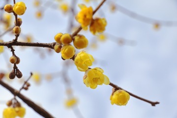 28312619_s