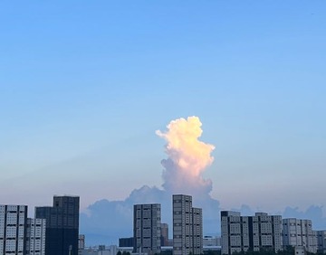 IMG_0362