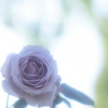 5c16186e6419293391891e5b29c85fc3_s