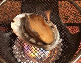 フレーム-19-12-2018-10-15-26 (1)